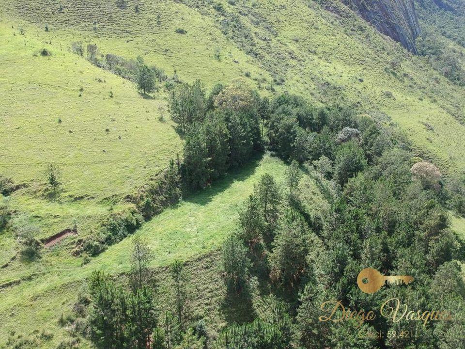 Outros à venda em Santa Rosa, Teresópolis - RJ - Foto 24