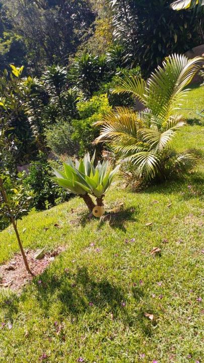 Casa à venda em Vale Feliz, Teresópolis - RJ - Foto 13