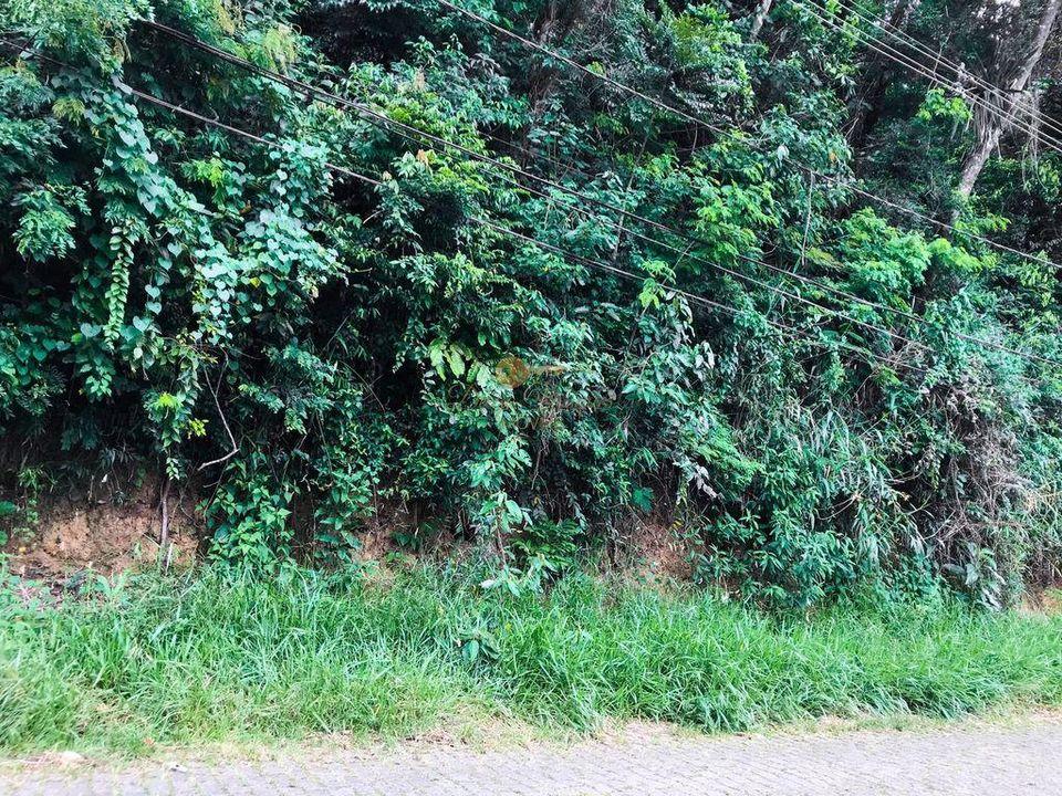 Terreno Residencial à venda em Quinta da Barra, Teresópolis - RJ - Foto 4