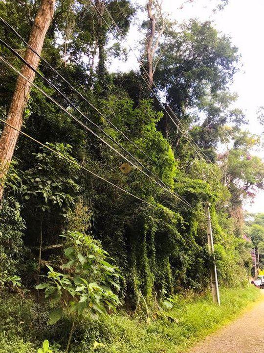 Terreno Residencial à venda em Quinta da Barra, Teresópolis - RJ - Foto 8