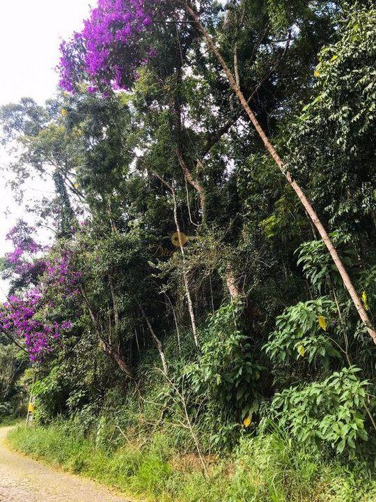 Terreno Residencial à venda em Quinta da Barra, Teresópolis - RJ - Foto 7