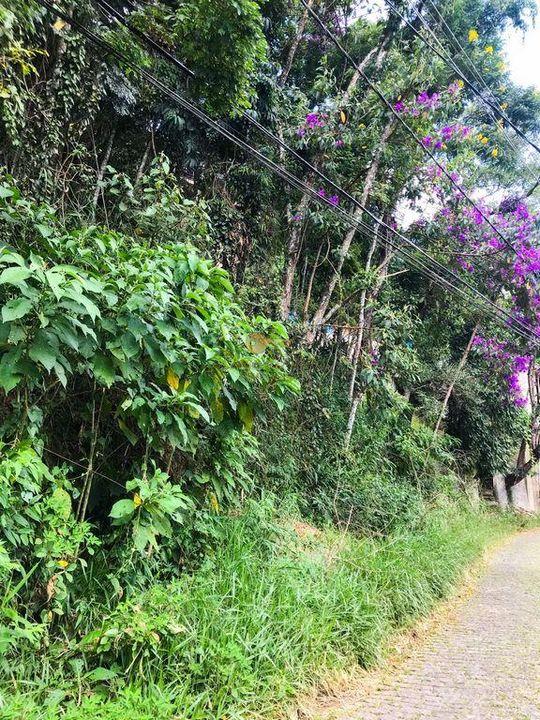 Terreno Residencial à venda em Quinta da Barra, Teresópolis - RJ - Foto 9