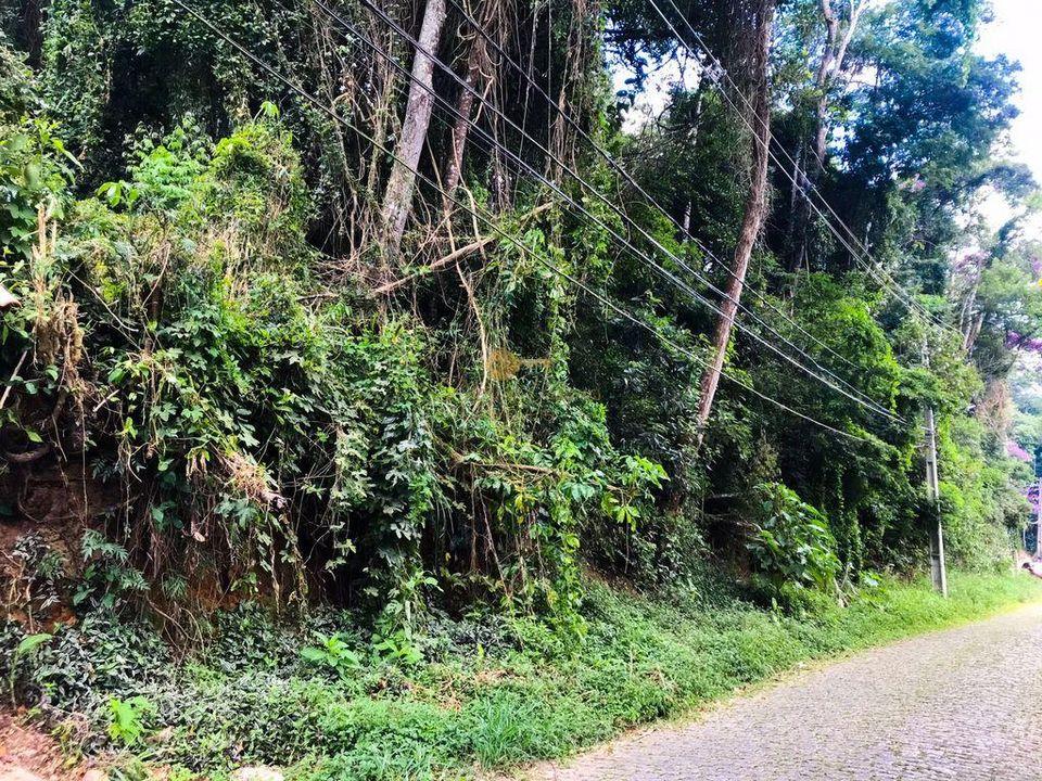 Terreno Residencial à venda em Quinta da Barra, Teresópolis - RJ - Foto 11