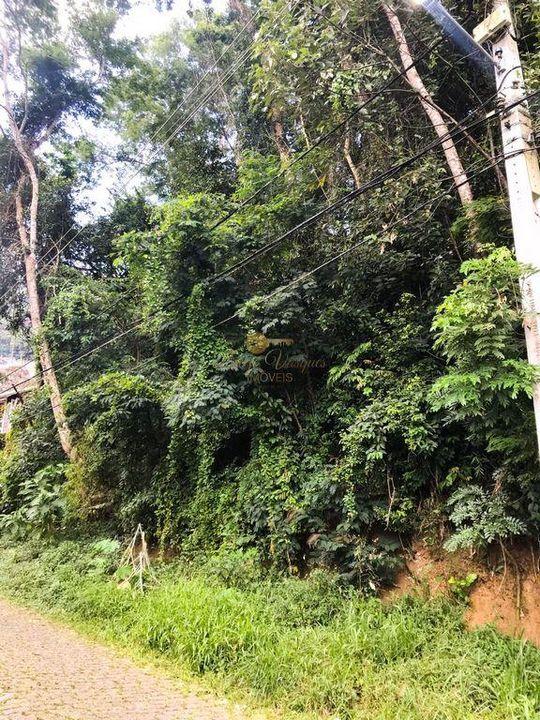 Terreno Residencial à venda em Quinta da Barra, Teresópolis - RJ - Foto 6
