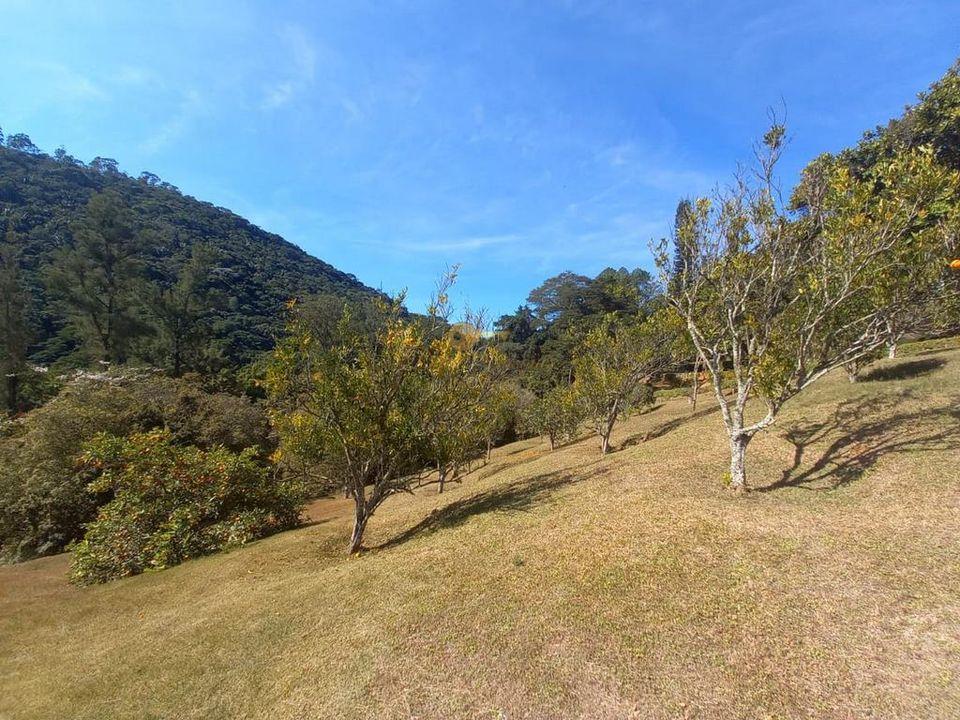 Casa à venda em Granja Mafra, Teresópolis - RJ - Foto 28