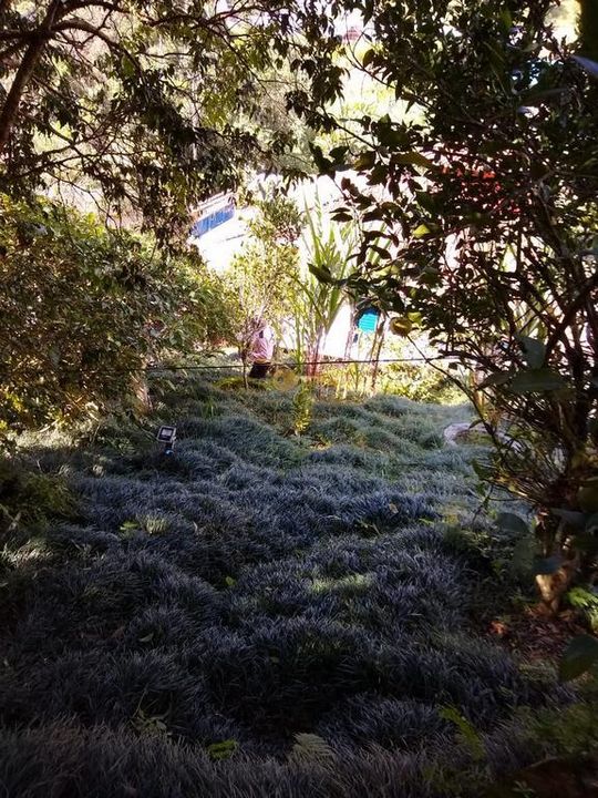 Casa à venda em Albuquerque, Teresópolis - RJ - Foto 7