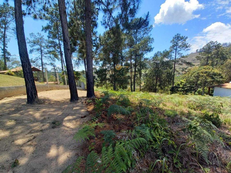Terreno Residencial à venda em Fazenda Suiça, Teresópolis - RJ - Foto 6