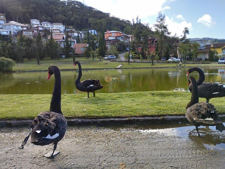 Terreno Residencial à venda em Vargem Grande, Teresópolis - RJ - Foto 8