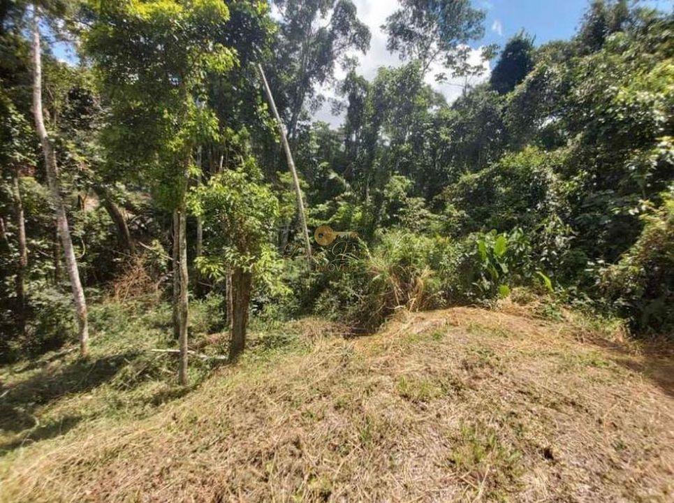 Terreno Residencial à venda em Albuquerque, Teresópolis - RJ - Foto 6