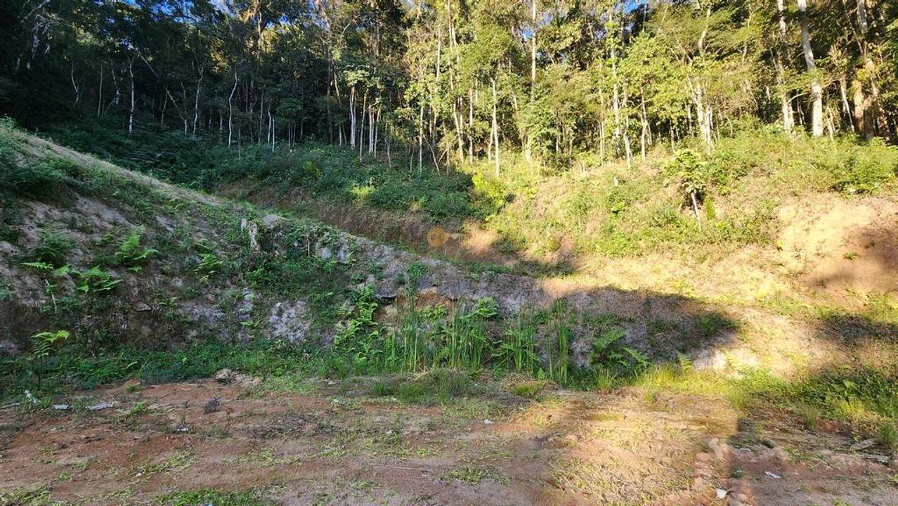 Terreno Residencial à venda em Três Córregos, Teresópolis - RJ - Foto 7