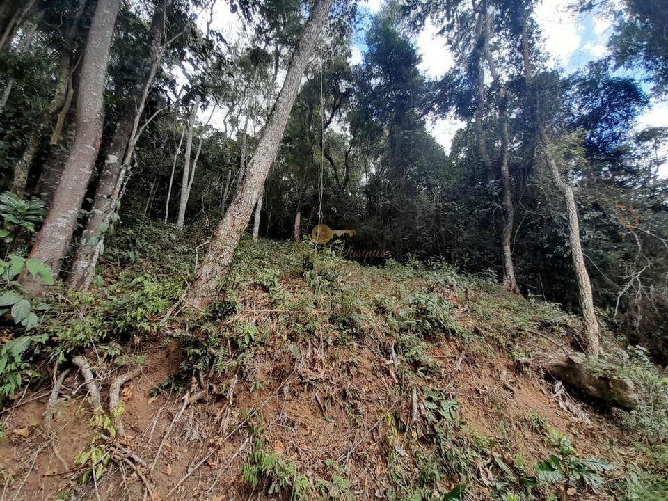 Terreno Residencial à venda em Posse, Teresópolis - RJ - Foto 6