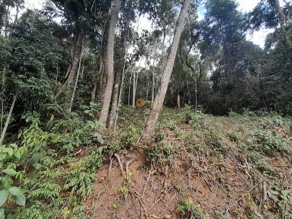 Terreno Residencial à venda em Posse, Teresópolis - RJ - Foto 7
