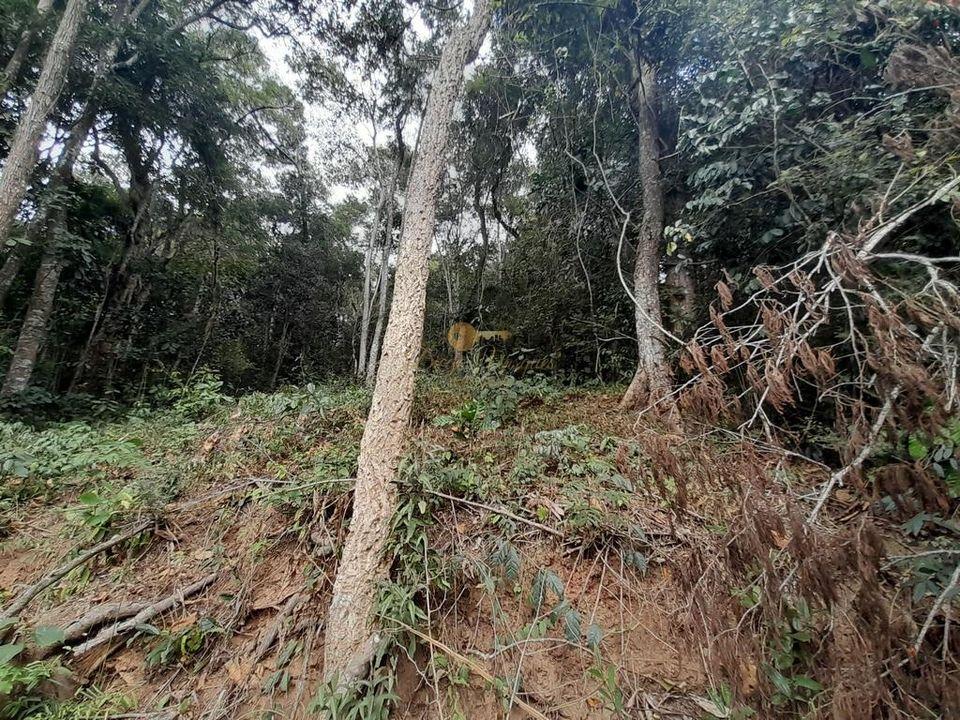 Terreno Residencial à venda em Posse, Teresópolis - RJ - Foto 11