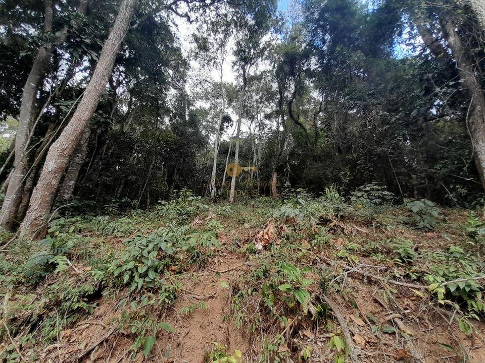 Terreno Residencial à venda em Posse, Teresópolis - RJ - Foto 12