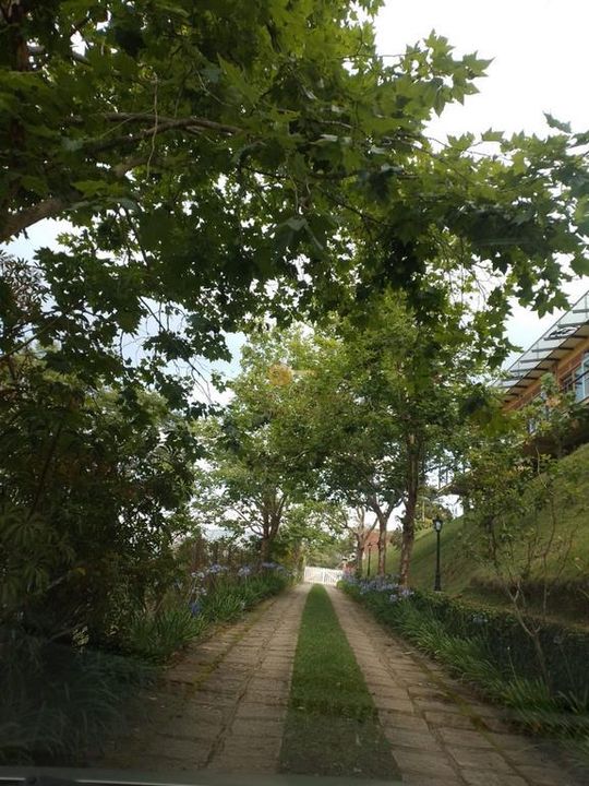 Casa à venda em Fazenda Alpina, Teresópolis - RJ - Foto 13