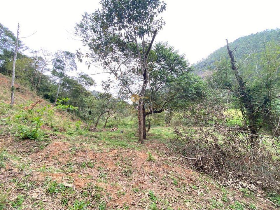 Terreno Residencial à venda em Pessegueiros, Teresópolis - RJ - Foto 6