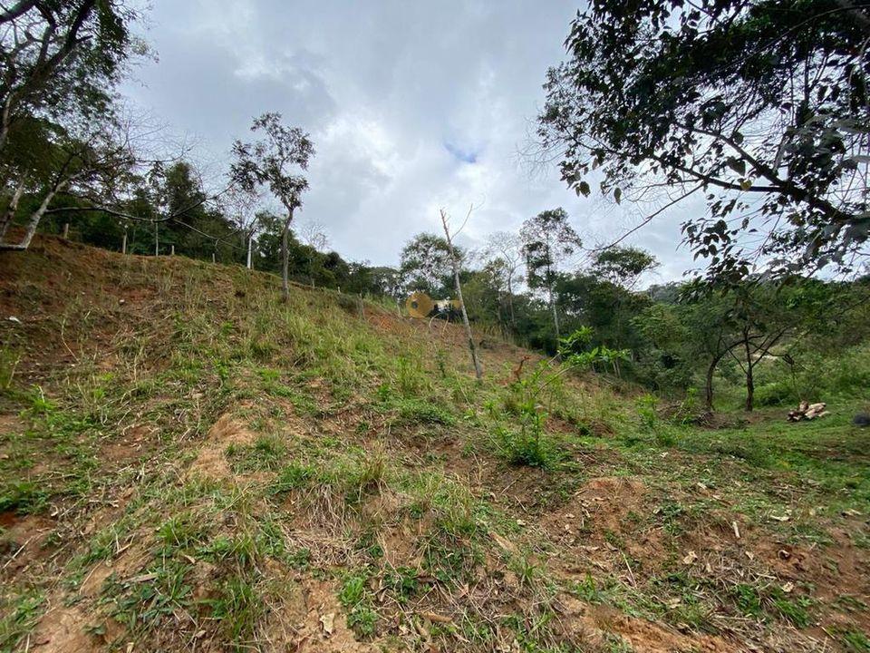 Terreno Residencial à venda em Pessegueiros, Teresópolis - RJ - Foto 9