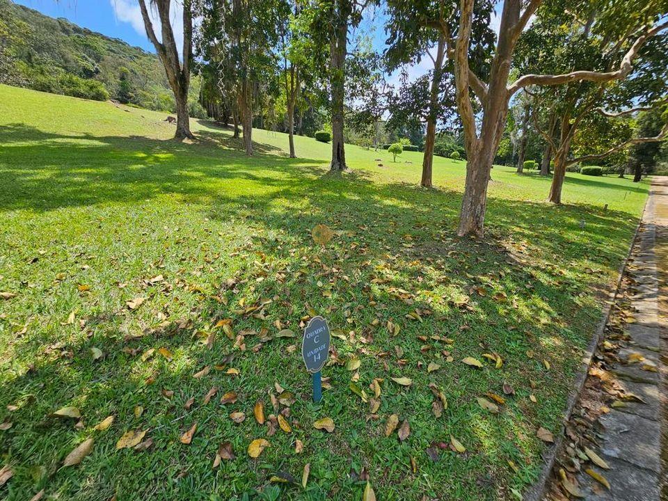 Imóvel Comercial à venda em Parque do Imbui, Teresópolis - RJ - Foto 24