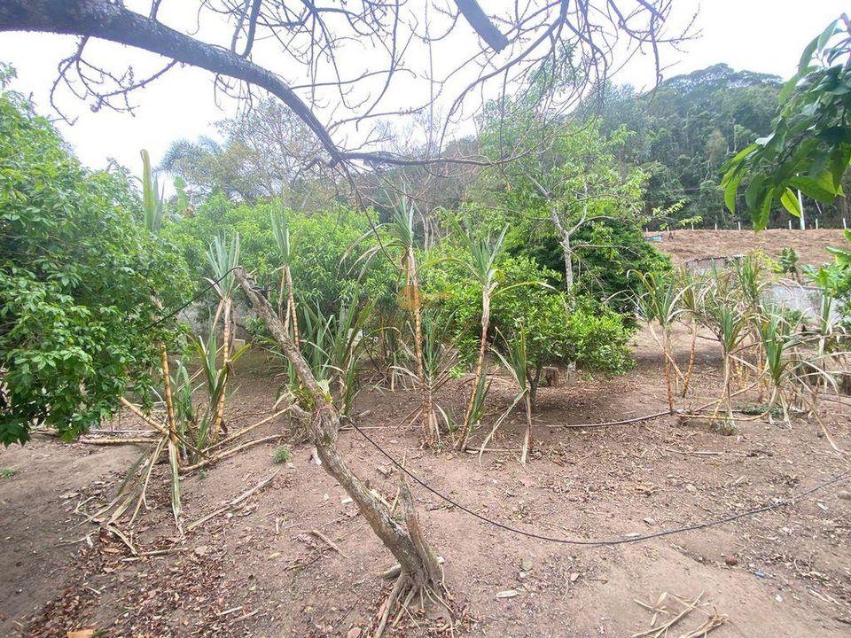 Casa à venda em Pessegueiros, Teresópolis - RJ - Foto 10