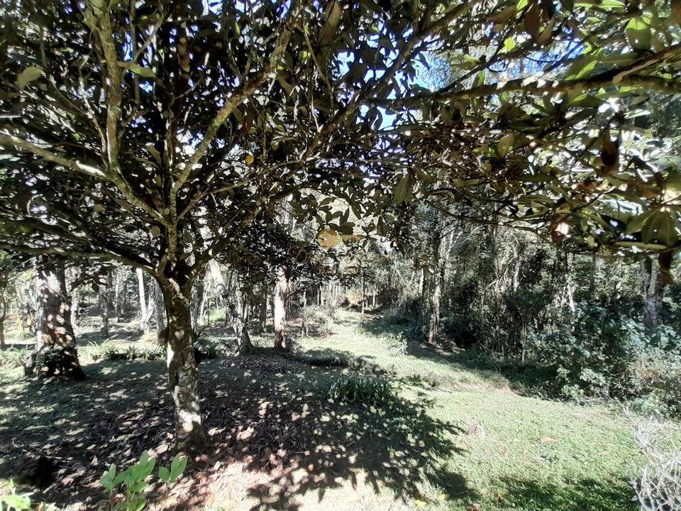 Casa à venda em Santa Rita, Teresópolis - RJ - Foto 18