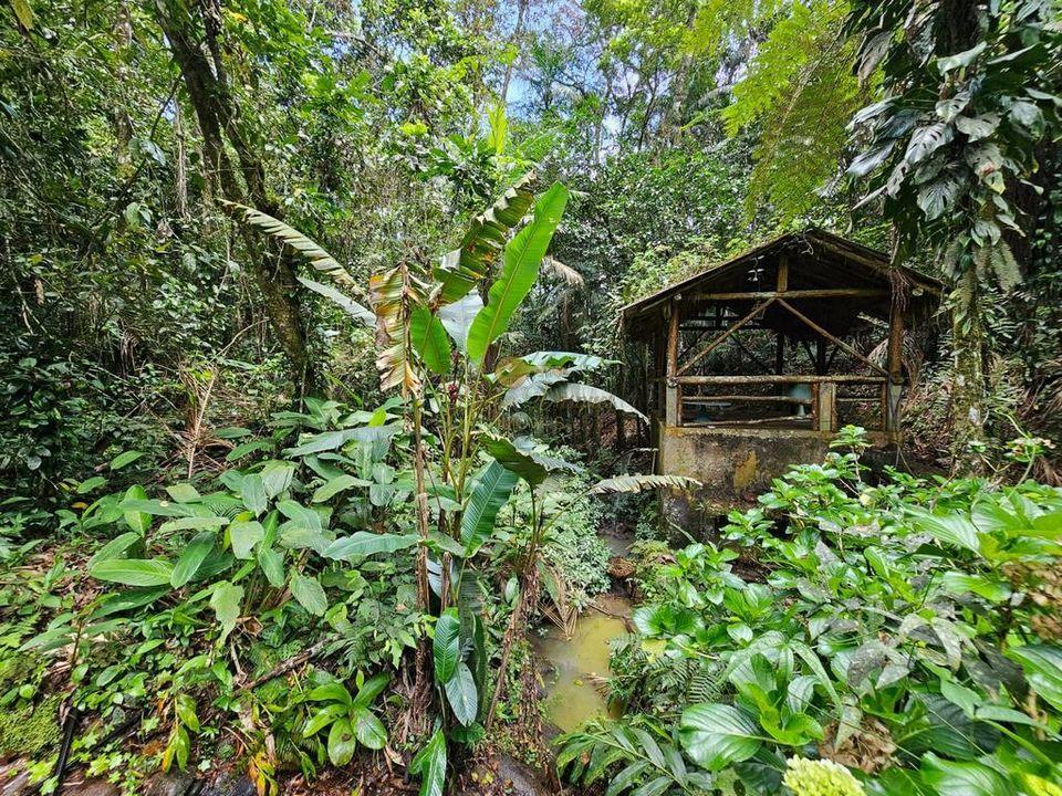 Outros à venda em Albuquerque, Teresópolis - RJ - Foto 17