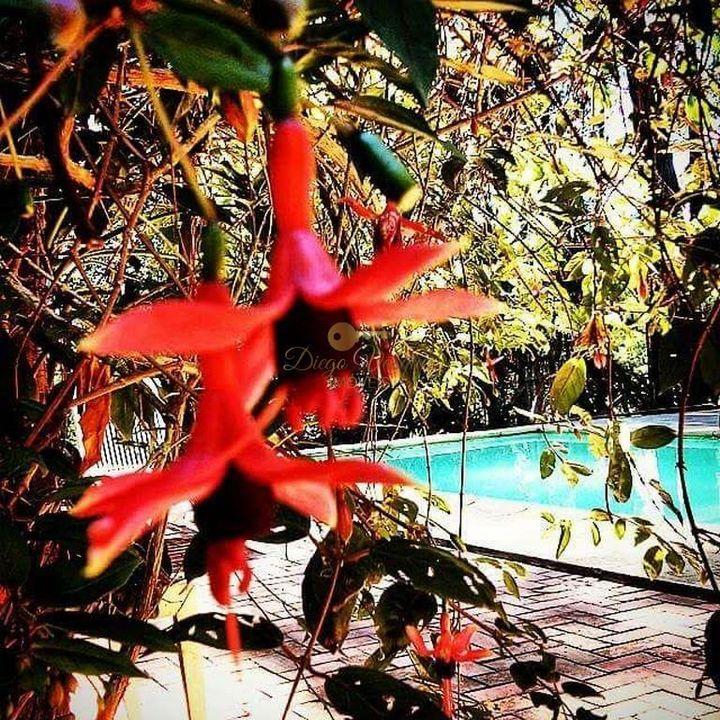 Outros à venda em Santa Rita, Teresópolis - RJ - Foto 16