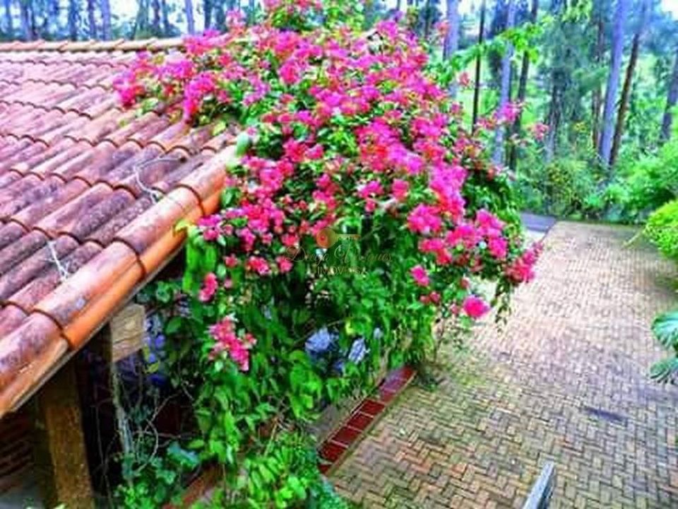 Outros à venda em Santa Rita, Teresópolis - RJ - Foto 20