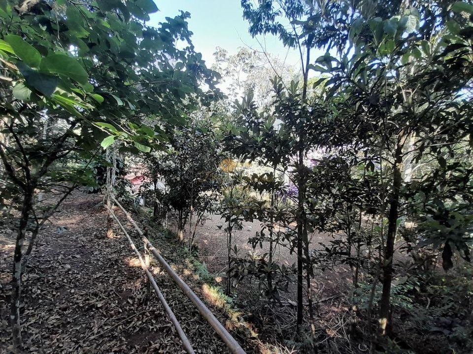 Outros à venda em Santa Rita, Teresópolis - RJ - Foto 48