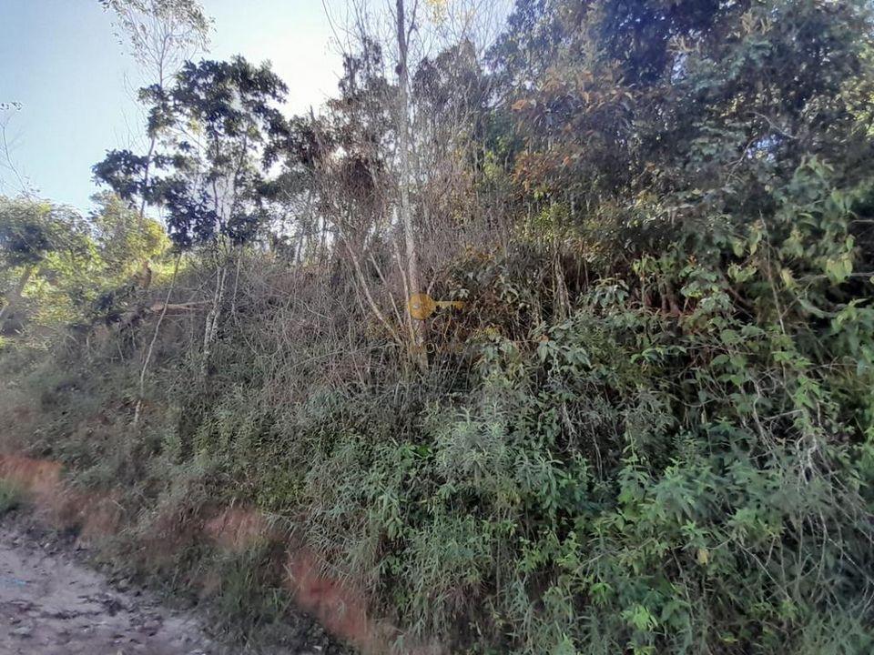 Terreno Residencial à venda em Prata, Teresópolis - RJ - Foto 2