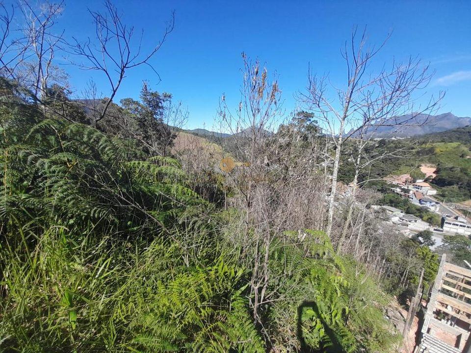 Terreno Residencial à venda em Prata, Teresópolis - RJ - Foto 5
