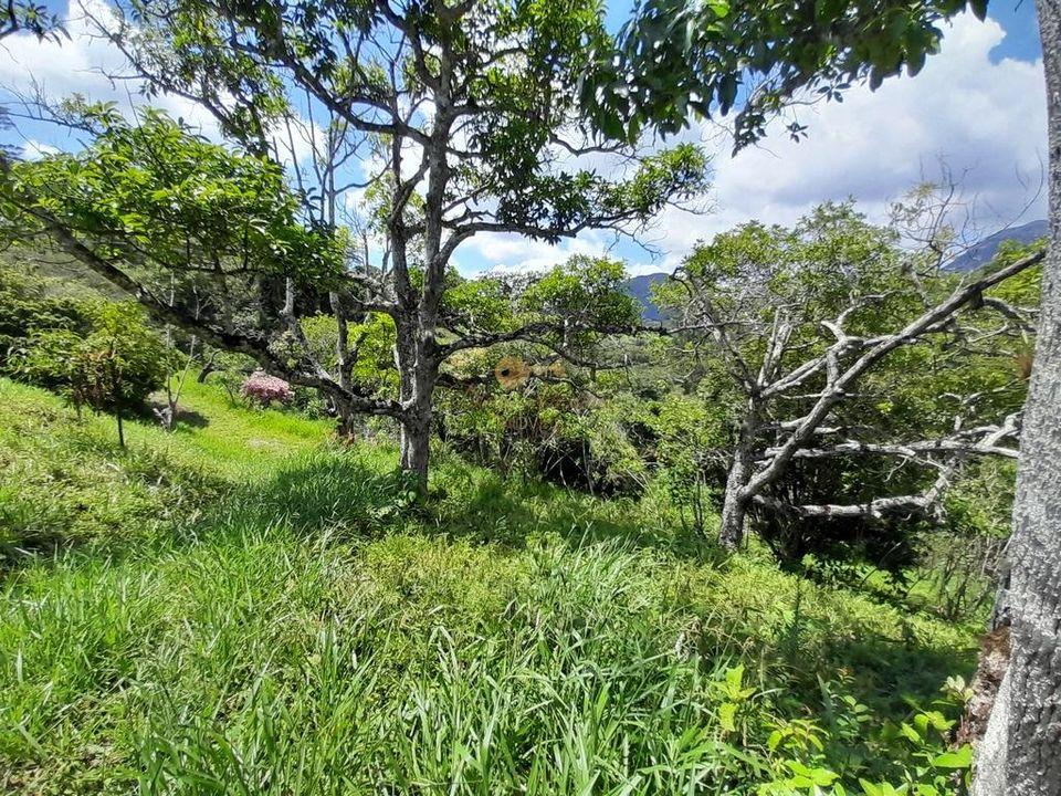Casa à venda em Santa Rita, Teresópolis - RJ - Foto 17