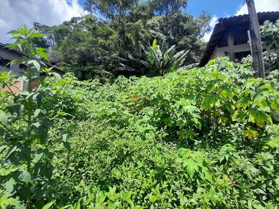 Terreno Residencial à venda em Granja Guarani, Teresópolis - RJ - Foto 3