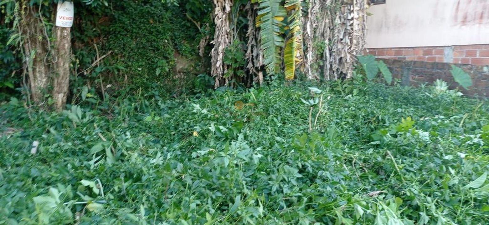 Terreno Residencial à venda em Granja Guarani, Teresópolis - RJ - Foto 10