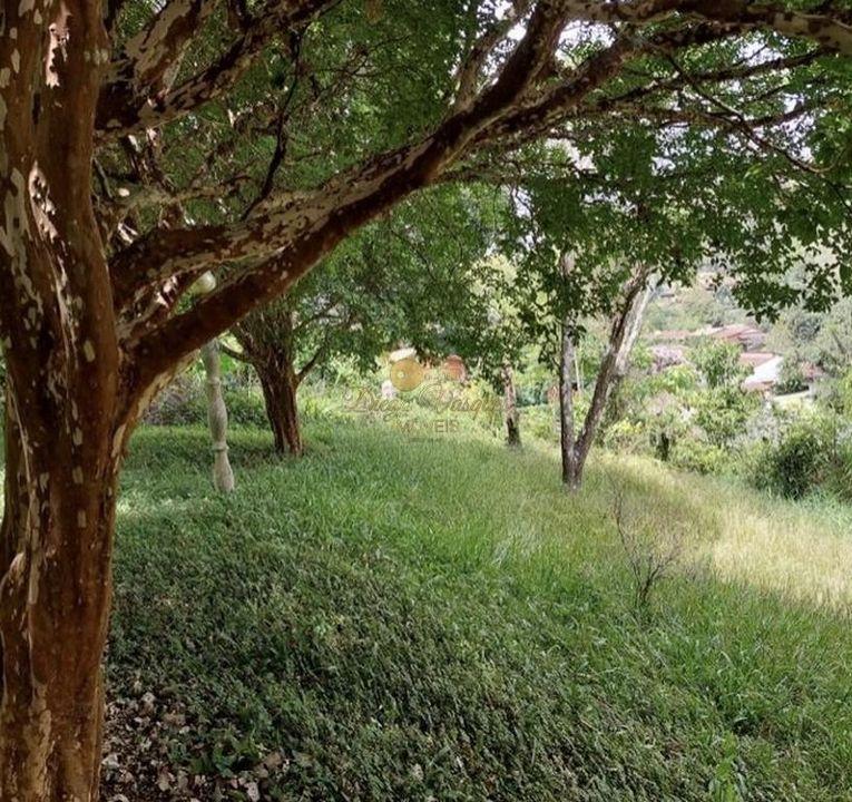 Terreno, 1302 m² - Foto 7