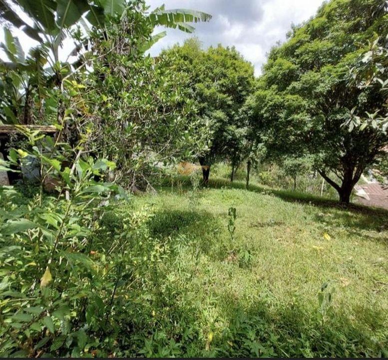 Terreno, 1302 m² - Foto 6