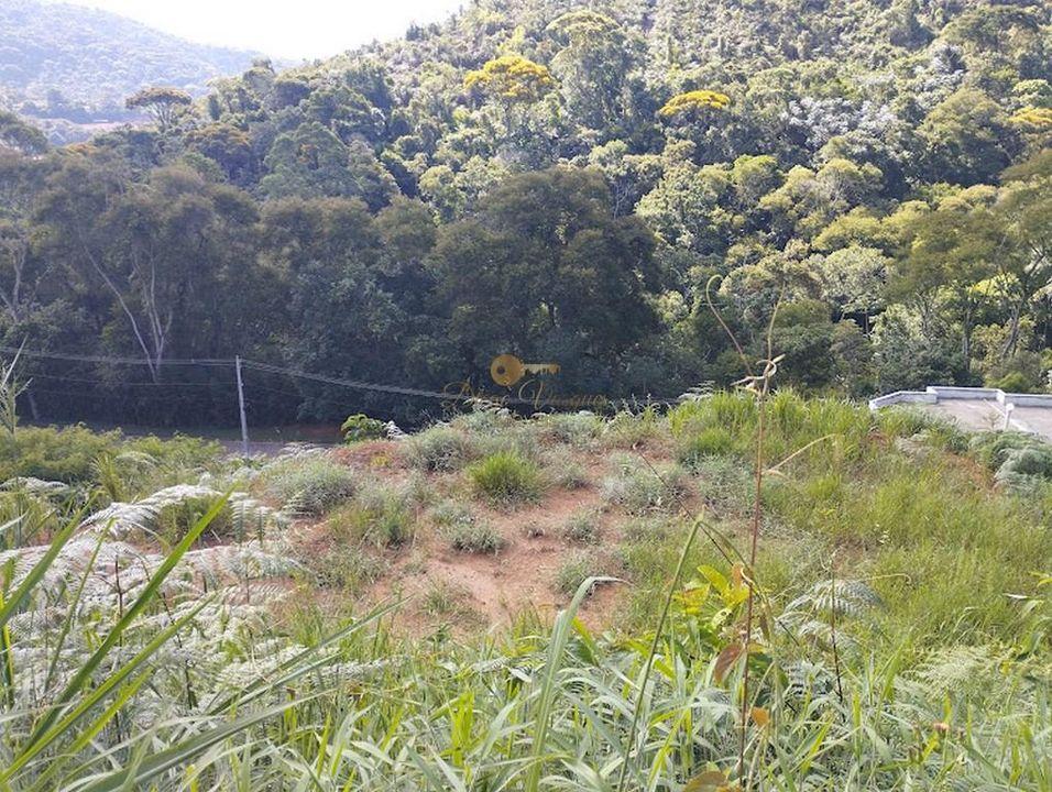 Terreno Residencial à venda em Prata, Teresópolis - RJ - Foto 2