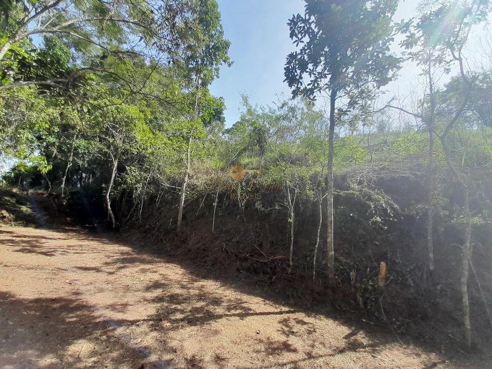 Terreno Residencial à venda em Prata, Teresópolis - RJ - Foto 2
