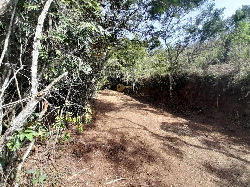 Terreno Residencial à venda em Prata, Teresópolis - RJ - Foto 6