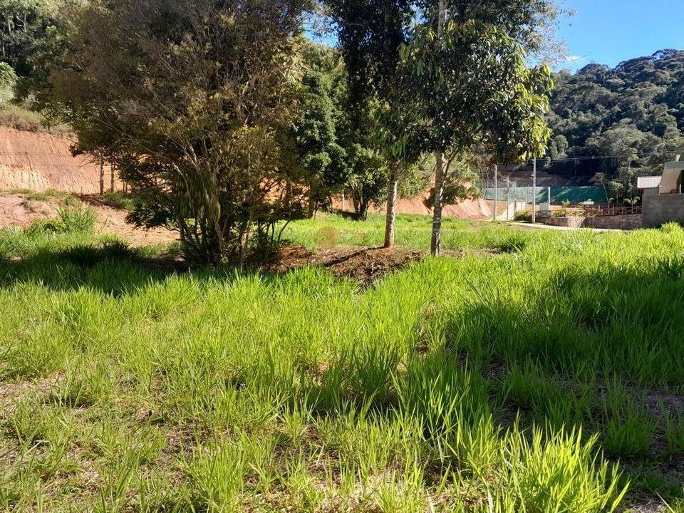 Terreno Residencial à venda em Prata, Teresópolis - RJ - Foto 2