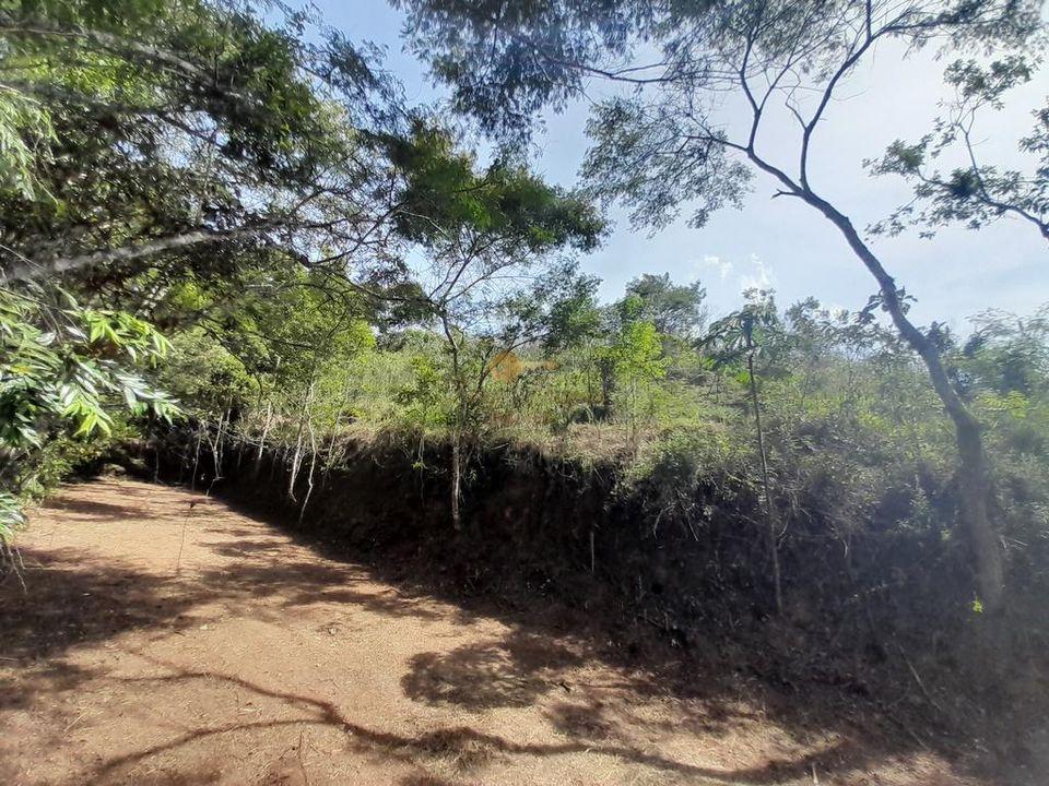 Terreno Residencial à venda em Prata, Teresópolis - RJ - Foto 2