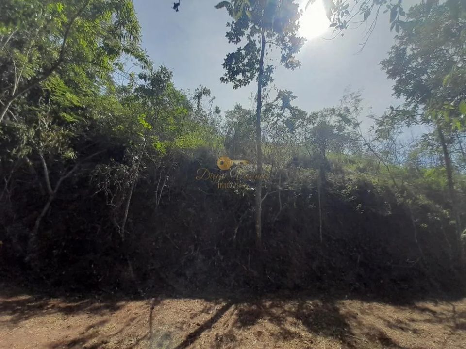 Terreno Residencial à venda em Prata, Teresópolis - RJ - Foto 8