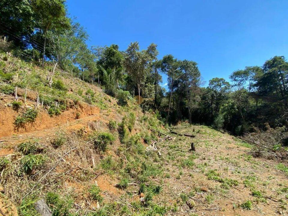 Terreno Residencial à venda em Vargem Grande, Teresópolis - RJ - Foto 3