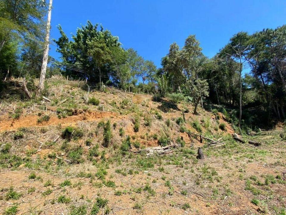 Terreno Residencial à venda em Vargem Grande, Teresópolis - RJ - Foto 2