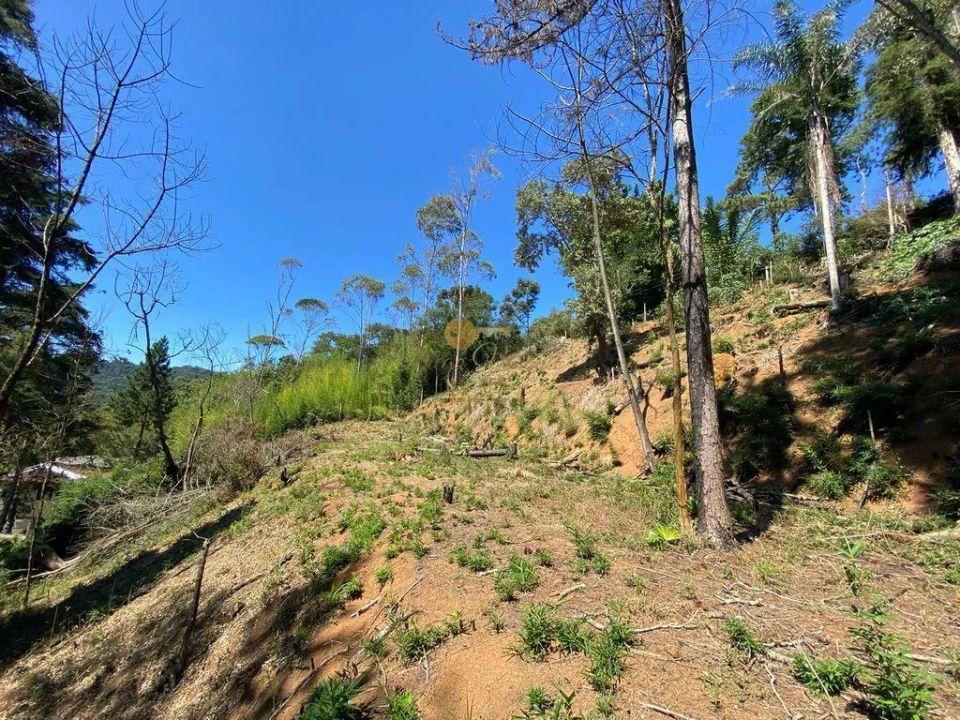Terreno Residencial à venda em Vargem Grande, Teresópolis - RJ - Foto 5