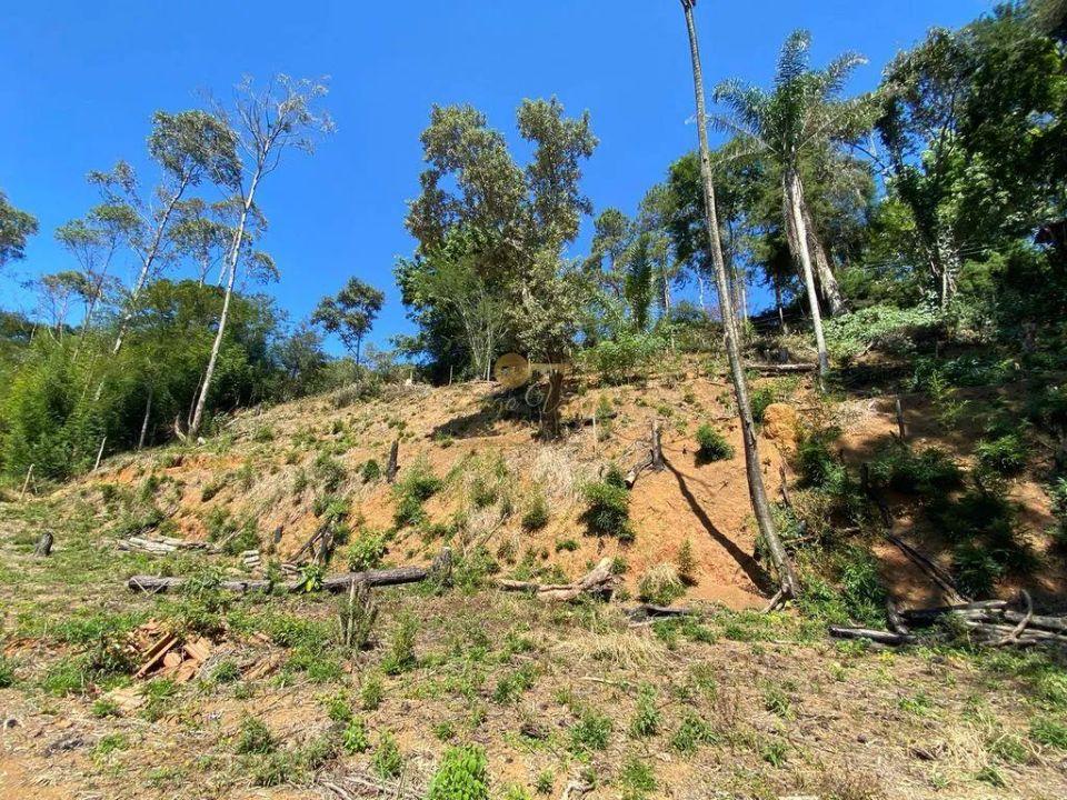 Terreno Residencial à venda em Vargem Grande, Teresópolis - RJ - Foto 6