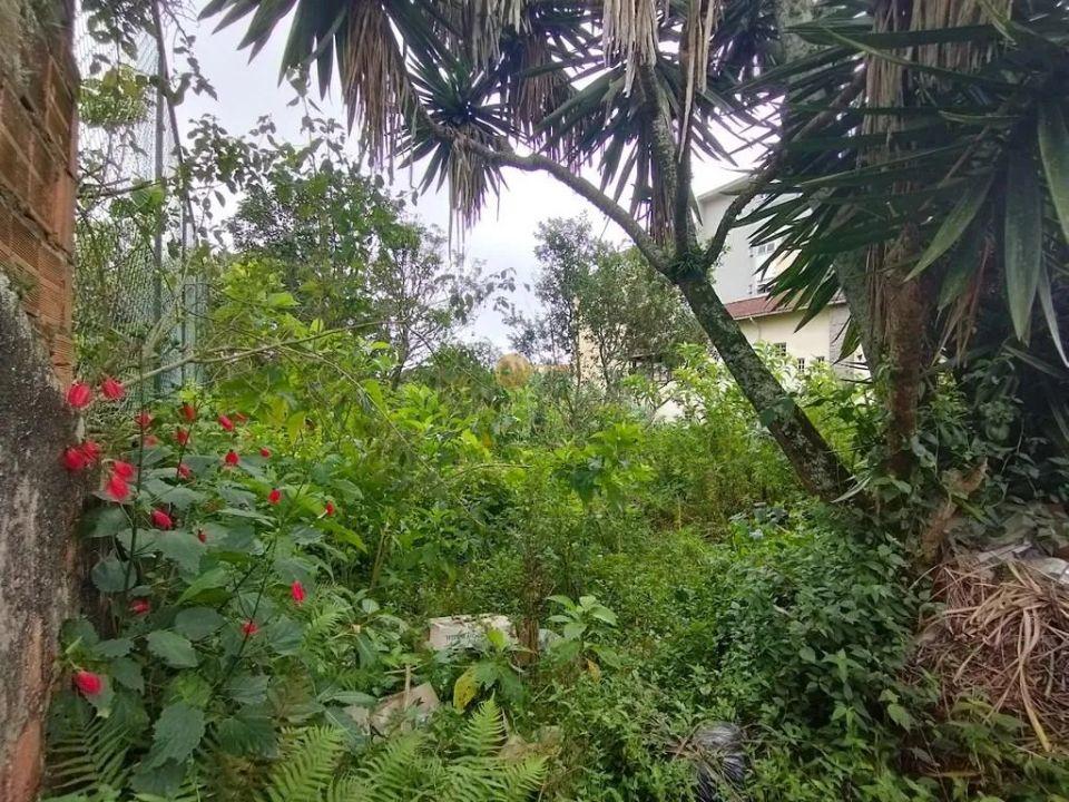 Terreno Residencial à venda em Alto, Teresópolis - RJ - Foto 6
