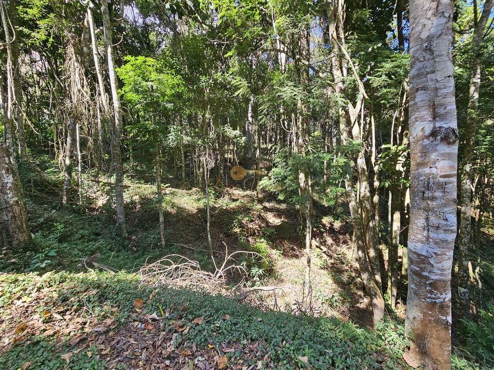 Terreno Residencial à venda em Green Valley, Teresópolis - RJ - Foto 2