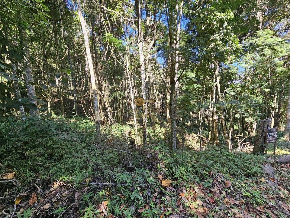 Terreno Residencial à venda em Green Valley, Teresópolis - RJ - Foto 4