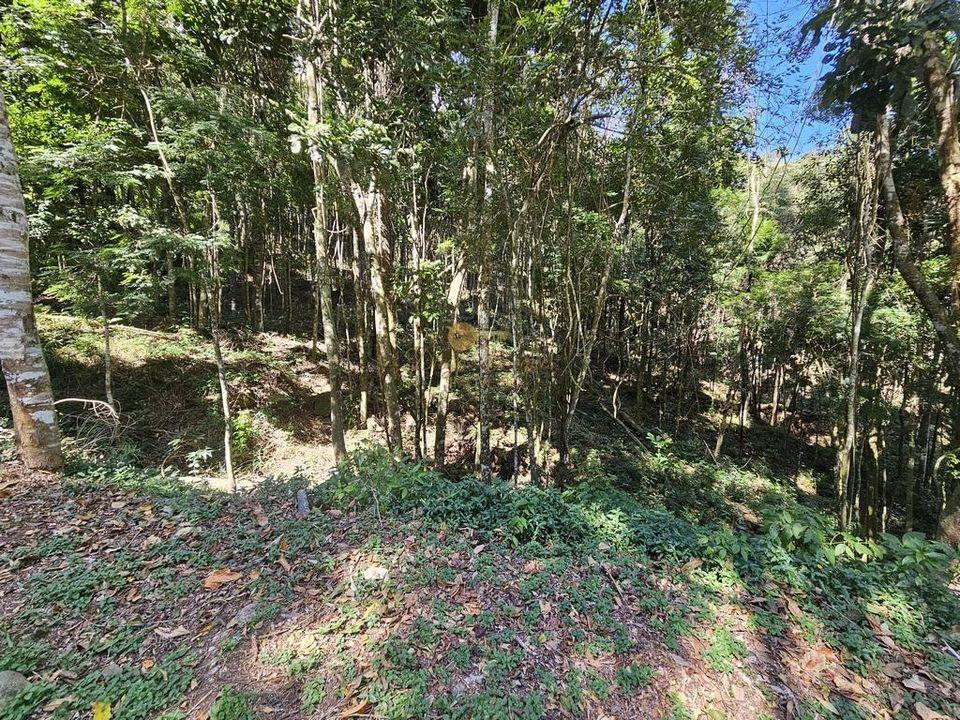 Terreno Residencial à venda em Green Valley, Teresópolis - RJ - Foto 3