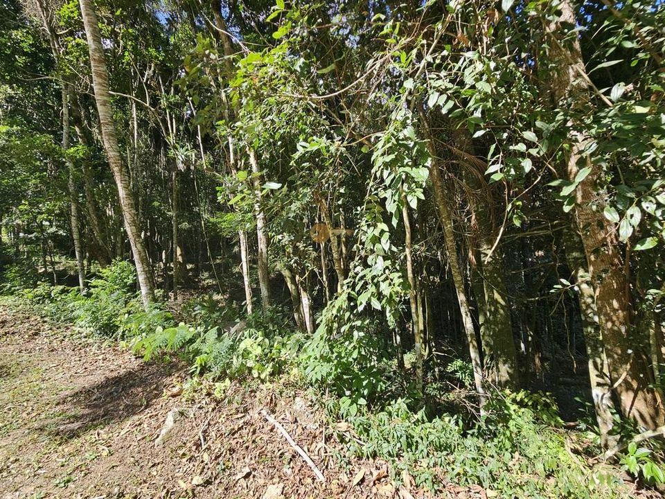 Terreno Residencial à venda em Green Valley, Teresópolis - RJ - Foto 6